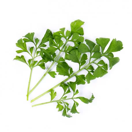 ORGANIC GARDEN CRESS LINGOT®, VERITABLE® GARDEN