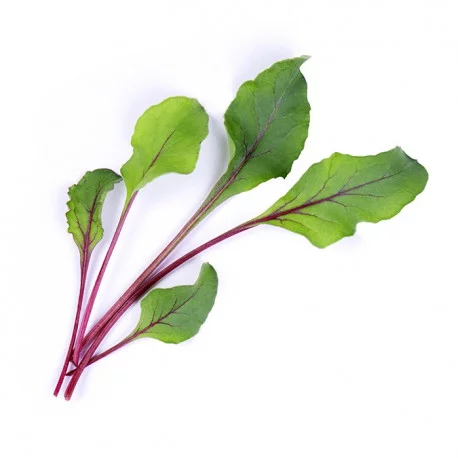 Organic Beet greens Lingot® Organic Beet greens Lingot®