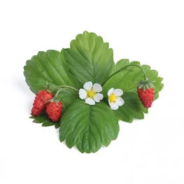 Fraise