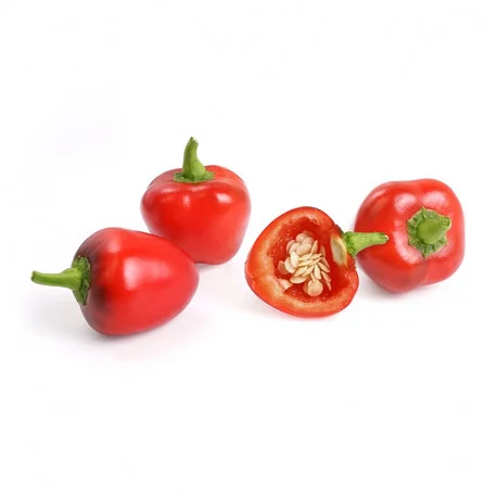 Mini-Paprika Lingot Mini-Paprika Lingot