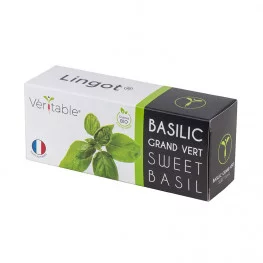 Lingot® de Basilic grand vert BIO