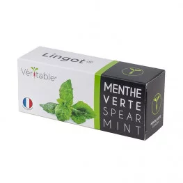 Lingot® de Menthe verte