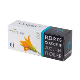 Lingot® Fleur de Courgette BIO