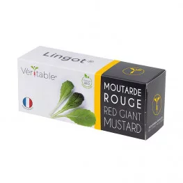 Lingot® de Moutarde Rouge BIO