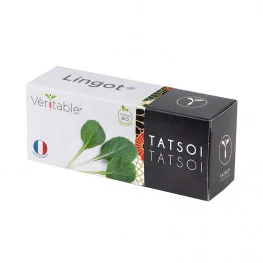 Lingot® Tatsoi BIO