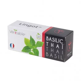 Lingot® de Basilic Thaï BIO