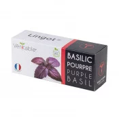 Lingot® de Basilic Pourpre BIO