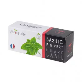 Lingot® Basilic Fin Vert Nain BIO