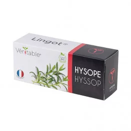 Lingot® Hysope BIO
