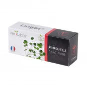 Lingot® de Pimprenelle BIO