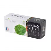 Lingot® de Shiso vert BIO