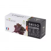 Lingot® de Shiso pourpre BIO