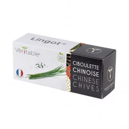 Lingot® Ciboulette chinoise BIO