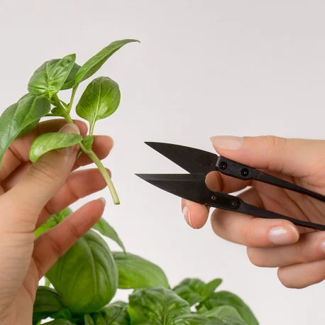 Mini Snips Mini Snips
