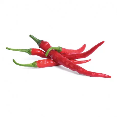 Chili Lingot Chili Lingot