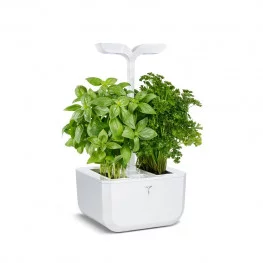 Potager Exky® CLASSIC Potager Exky® CLASSIC