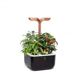 EXKY smart garden EXKY smart garden