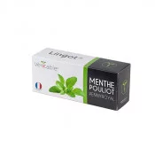 Lingot® de Menthe pouliot