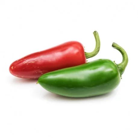Jalapeño hot chili Lingot® Jalapeño hot chili Lingot®