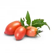 Lingot® Mini tomate rose