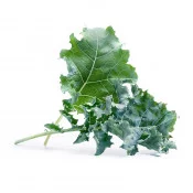 Feuilles de Chou kale BIO