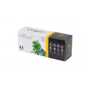 Lingot® de Chou kale BIO