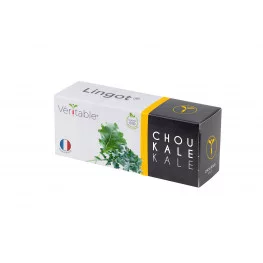 Lingot® de Chou kale BIO