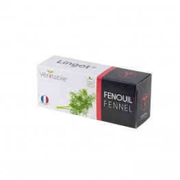 Lingot® Fenouil BIO