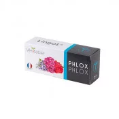 Lingot® de Phlox