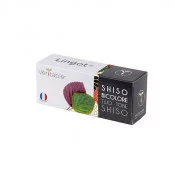 Lingot® de Shiso bicolore