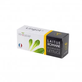 Lingot® Laitue romaine