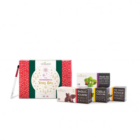 Christmas Box - Véritable® Christmas Box - Véritable®