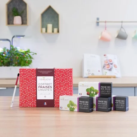 Coffret fraises - Lingots® & pinceau de pollinisation Coffret fraises - Lingots® & pinceau de pollinisation