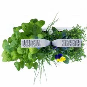 Potager Véritable® SMART vu de haut