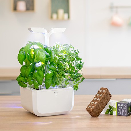 Autonomer indoor garten