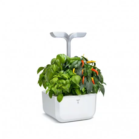 EXKY moestuin EXKY moestuin