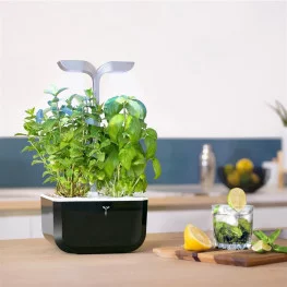 Potager Exky® SMART