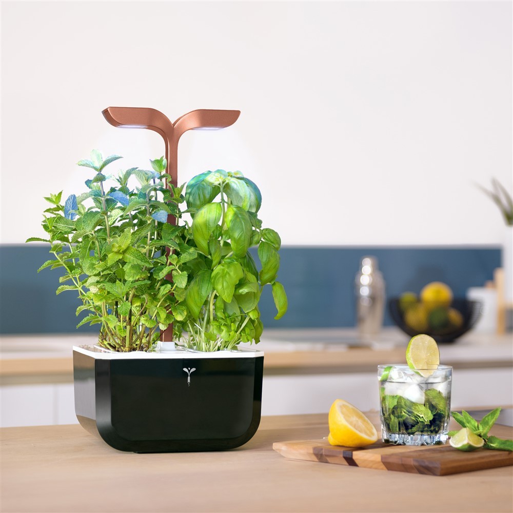 Herb Planter With Light : How To Make An Indoor Vertical Herb Garden
