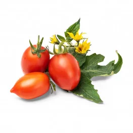 Mini red tomato Lingot®