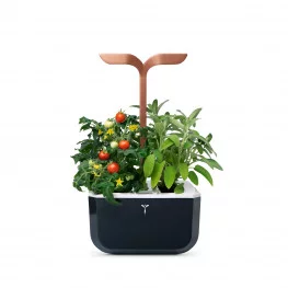 genetisch Soms vat Exky® moestuin SMART Copper - Compacte en autonome aromatuin voor  binnenshuis