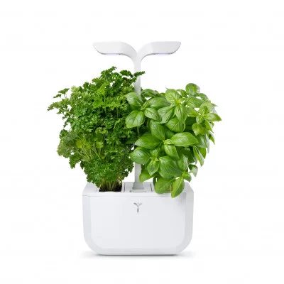Autonomer indoor garten
