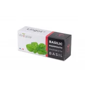 Lingot® de Basilic Mammouth