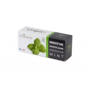 Lingot® de Menthe marocaine BIO