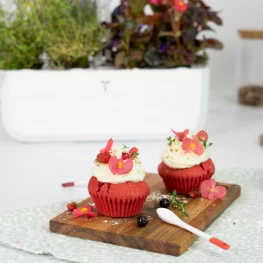 Cupcakes avec des fleurs de Bégonia