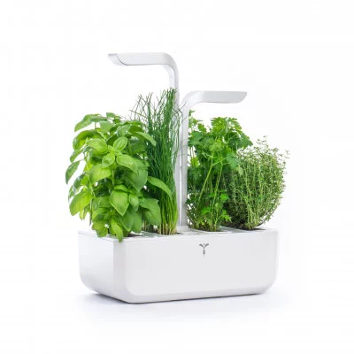 Potager Véritable® CLASSIC