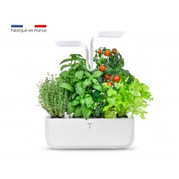 Potager d'intérieur Véritable® CLASSIC