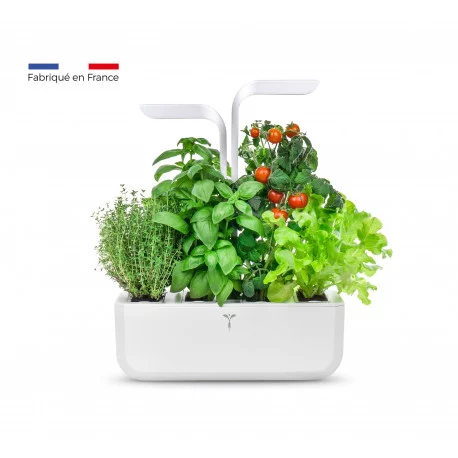 Potager Véritable® CLASSIC - Jardin aromatique d'intérieur autonome