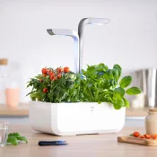 Potager Véritable® SMART Arctic White sur comptoir de cuisine