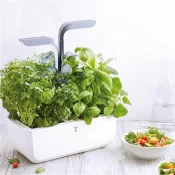 Potager Véritable® SMART Arctic White avec assiette