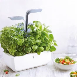 Potager Véritable® SMART Arctic White avec assiette